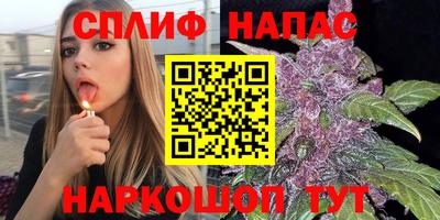 ГАЛЛЮЦИНОГЕННЫЕ ГРИБЫ Кимры