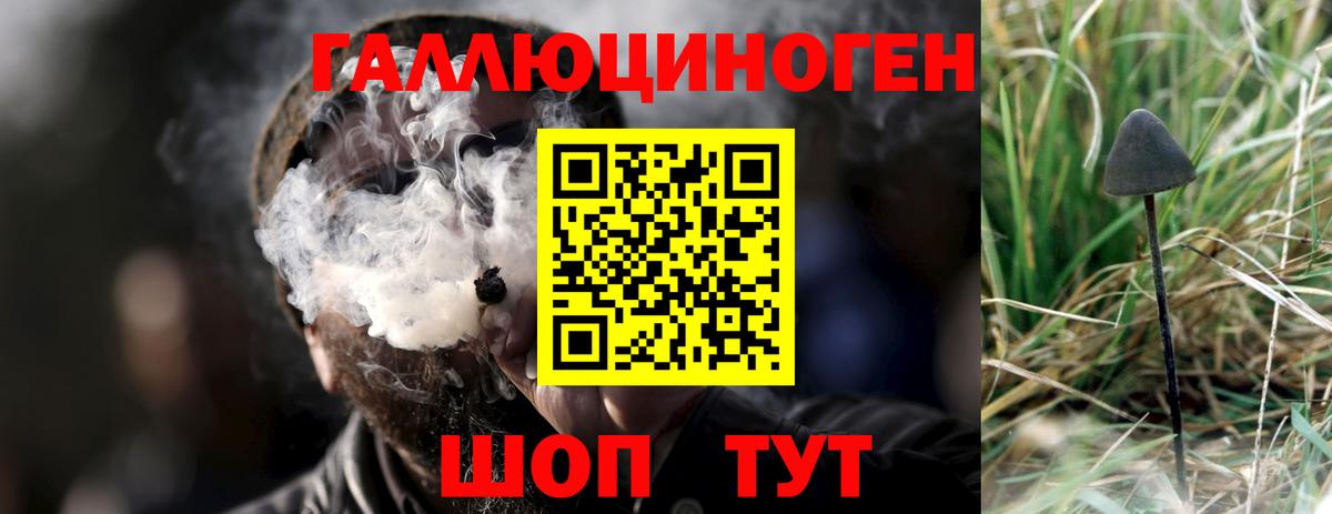 Псилоцибиновые грибы прущие грибы Кировск